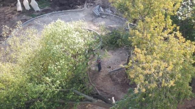 Ради плитки, спиливаем деревья смотреть онлайн