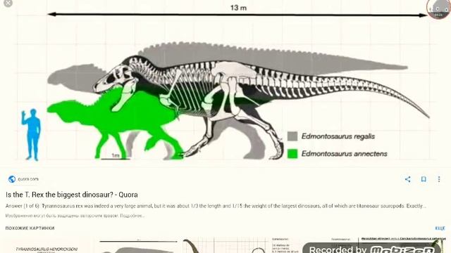 Мифы а диназаврав смотреть онлайн