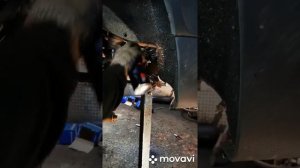 Замена саленблоков заднего подрамника bmw x5 e70 diesel 245л.с