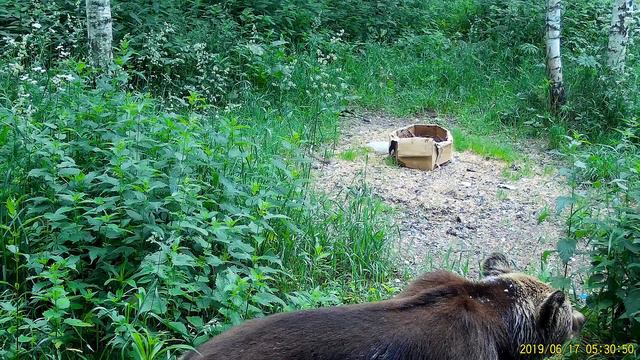 Любопытство смотреть онлайн