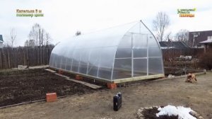 ТЕПЛИЦА «КАПЕЛЬКА 3М ПОЛИМЕР ЦИНК» НАДЕЖНАЯ И ПРАКТИЧНАЯ ТЕПЛИЦА. ОТЗЫВ О ТЕПЛИЦЕ ОТ САДОВОДА.
