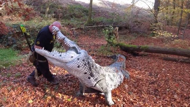 3D Bogenschießen im Sauerland - Rolf auf Parcourstour Oktober 2022. Bilsteintal / Brilon / Marsberg смотреть онлайн