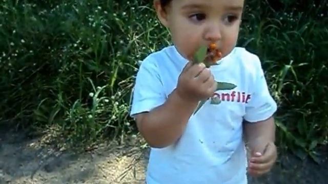 Ежики плакали и продолжали есть кактус 2013 смотреть онлайн