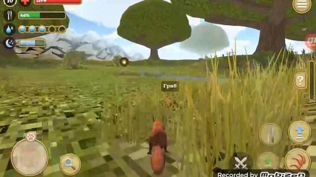 Играем в Squirrel Simulator 2 | Вторая часть (1) /// Alice Games смотреть онлайн