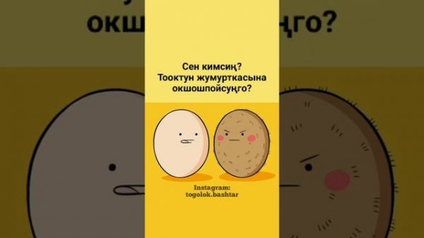 тоголок баштар