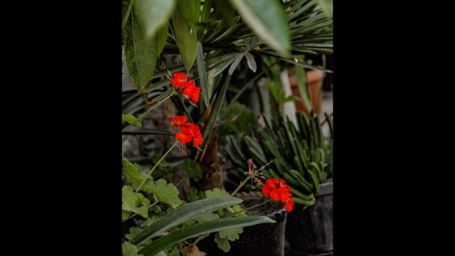 Андижан и Андижанская область. Что посетить? Andijan and Andijan region. What to visit there? смотреть онлайн