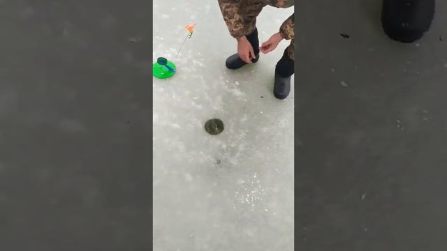 Зимняя рыбалка на хищника смотреть онлайн