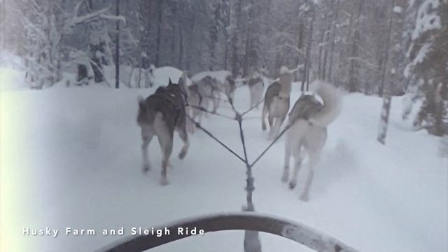 Part 3/9 - Norway Finland Sweden Arctic Winter Road Trip (Rovaniemi) 挪威 芬兰 瑞典 自驾游 смотреть онлайн