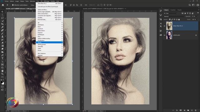 TELECHARGER NIK COLLECTION DANS PHOTOSHOP смотреть онлайн