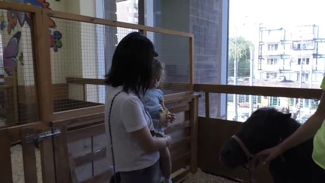 Американский Енот-Полоскун . Зоопарк "Ребятам о зверятах" !! смотреть онлайн
