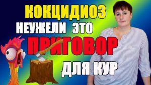 Кокцидиоз - опасное заболевание кур. Методы профилактики.