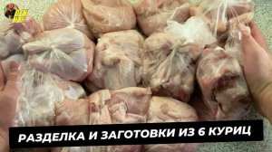 Куриные заготовки в морозилку из 6 куриц! Как разделать курицу на части