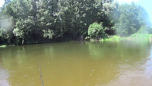 ловля голавля на воблеры Река Теша голавлик ест! смотреть онлайн