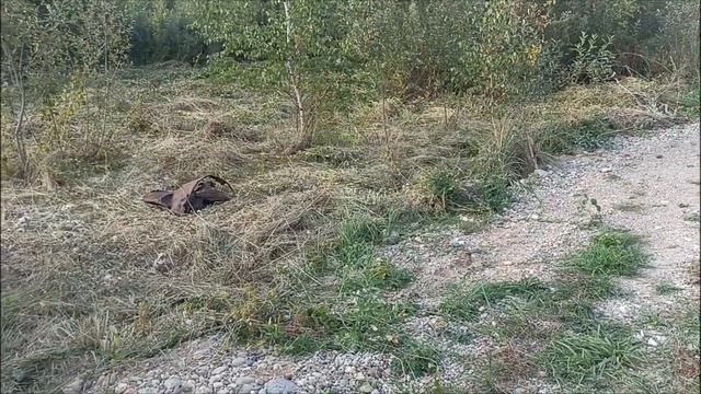 2 день. Покос травы и мелкого кустарника бензокосой (триммером, мотокоссой) смотреть онлайн