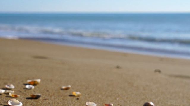 Море солнце смотреть онлайн