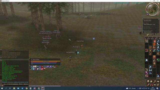 Lineage 2 X7 Asterios хай фай (день 45)