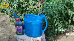 Гумат +7 Здоровый урожай