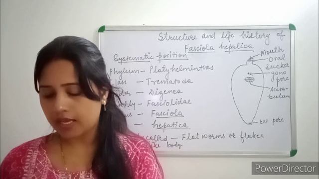 Fasciola hepatica JSSC pgt exam смотреть онлайн