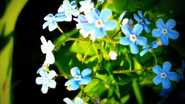 Spring Bryansk 2011 весна брянск