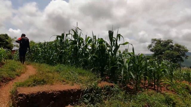 Где живут Индийцы в маленьком городе Замбии смотреть онлайн
