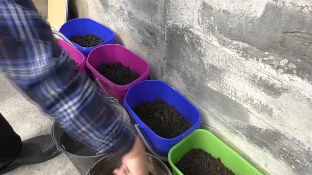 Теплица ,томаты,инжир смотреть онлайн