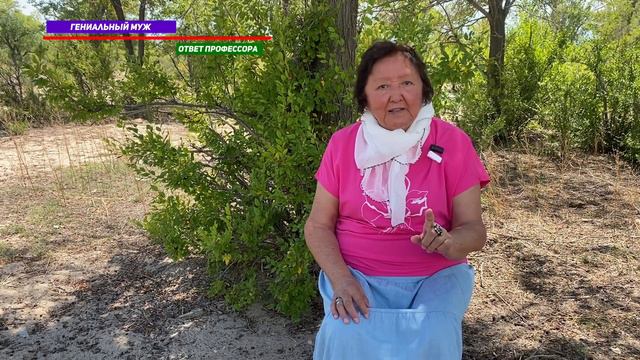 Почему Вашего мужа считают гением смотреть онлайн