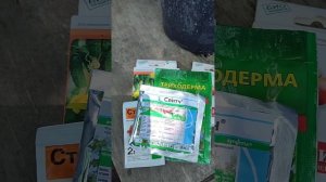 Обработка гортензий от болезней и вредителей.