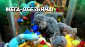 ОГРОМНАЯ ИГРУШКА в Аппарате Хватайка! Выиграем?