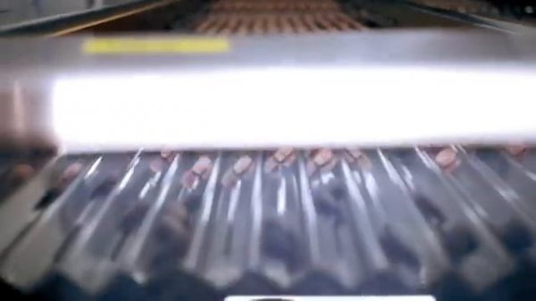 VERTERA 2022 (360p) (1)