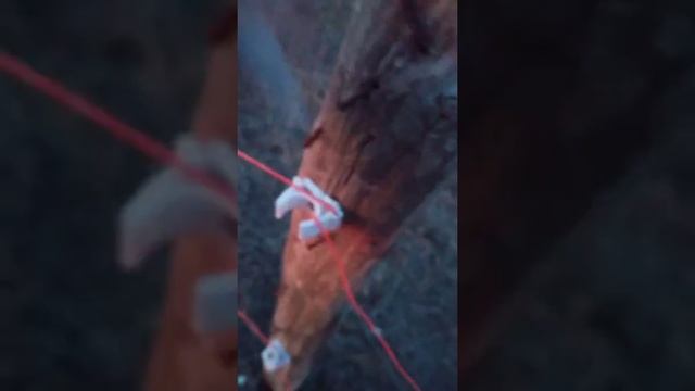 ЭЛЕКТРОИЗГОРОДЬ ДЛЯ ЭЛЕКТРОПАСТУХА.(САМЫЙ ДЕШОВЫЙ ВАРИАНТ) смотреть онлайн