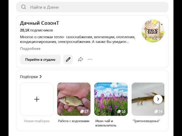 Сюжет на канале "Твоя Тюмень" от 28.08.23, о тритонах и не только смотреть онлайн