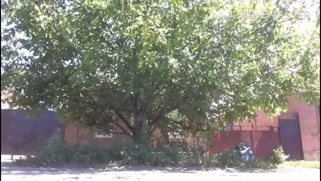 Как сделать козла на велосипеде) смотреть онлайн