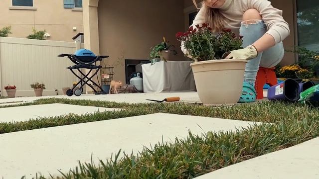 Домашние кулинарные секреты