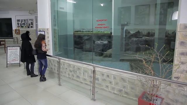Судоңыз, или Капибара (capybara) смотреть онлайн