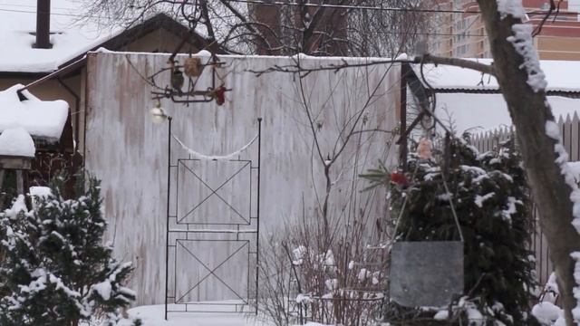 Кормушки-подвесы "Домики" на испытании в моем садике смотреть онлайн