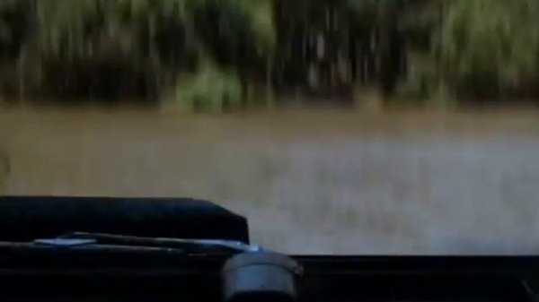 Эйс Вентура исполняет на машине | Ace Ventura performing by car