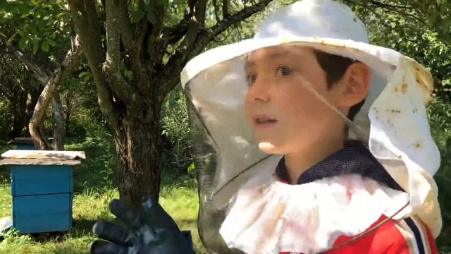 В гостях у пчёл!