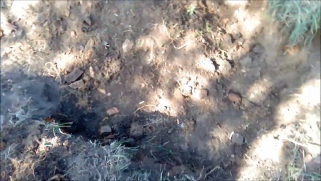 Коп. Поиск монет. Шурф фундамента. Находки есть. смотреть онлайн