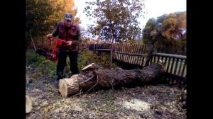 БЕНЗОПИЛЫ СССР. Советская бензопила Дружба 4 М. 30 лет в работе. Пилим дрова.