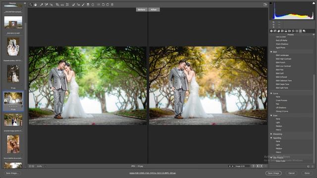 HOW TO USE PRESETS IN ADOBE CAMERA RAW | the perfect presets//Sk Editing// смотреть онлайн
