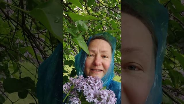 О цветах сирени, майском дожде и другом ПОЗИТИВЕ!🌞💦 смотреть онлайн