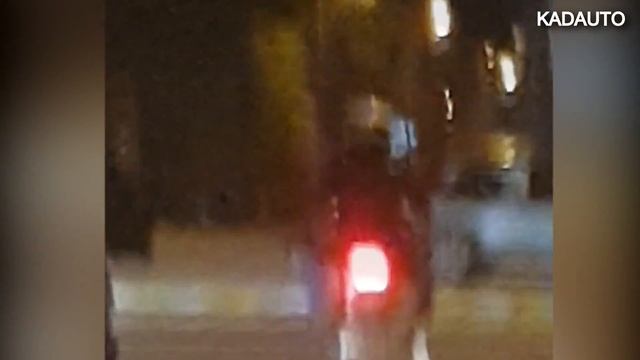 А как вы перевозите своих четвероногих друзей? Ул. Гагарина. Калининград. смотреть онлайн