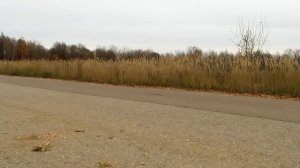 Митсубиси Галант 8 отзывы владельца