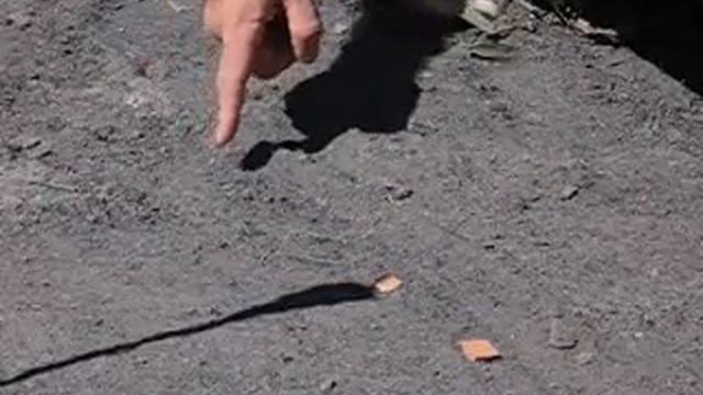 Sun Compass Southern Hemisphere смотреть онлайн