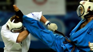 Боевые искусства мира. Кудо