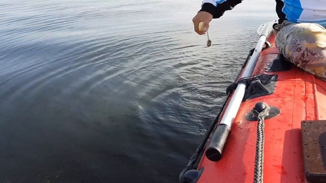 Техника ловли сома на квок. Часть 2. смотреть онлайн