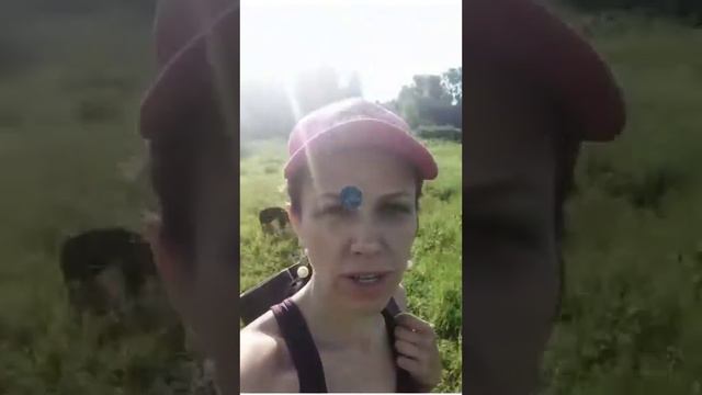 Покоряем вершину! смотреть онлайн