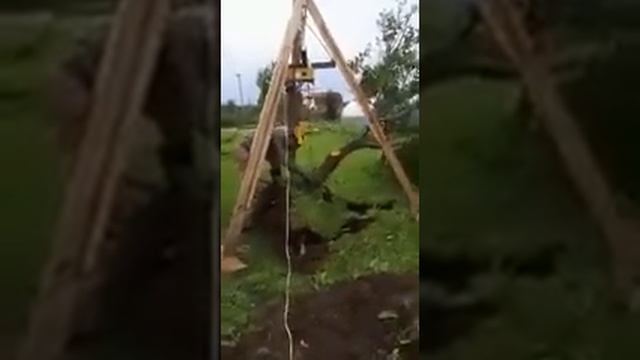 Корчуем старую сливу смотреть онлайн