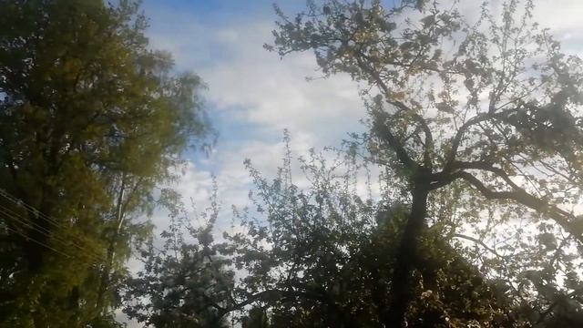Беларуская Деревня на границе. Май, Закат, Тишина. Сады цветут. смотреть онлайн