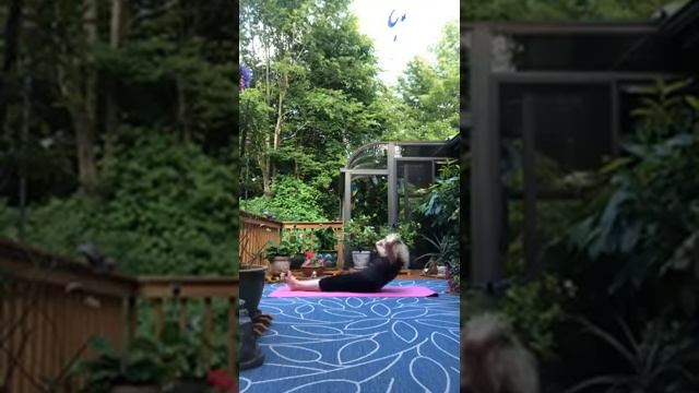 Traditional Pilates - June 30, 2020 ?♀️ смотреть онлайн